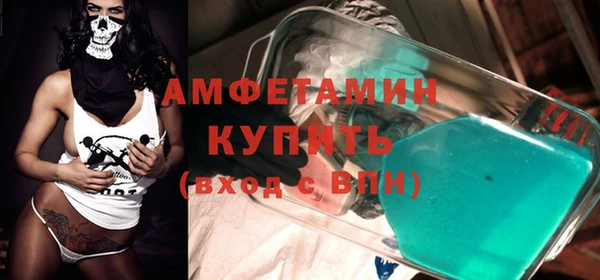 индика Козельск