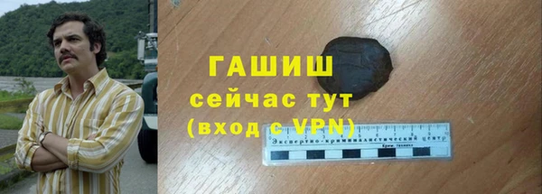 индика Козельск