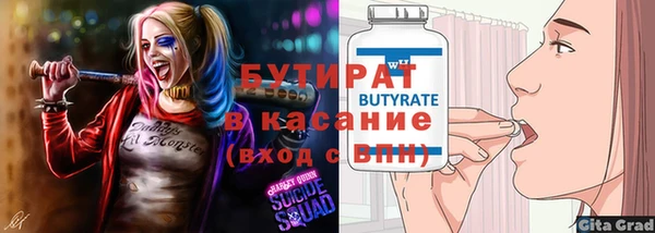 индика Козельск