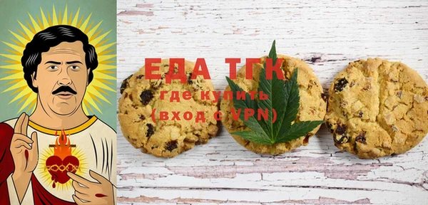 индика Козельск