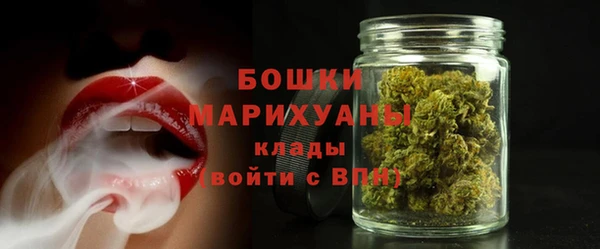 индика Козельск
