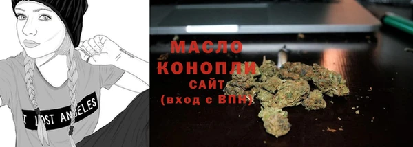 индика Козельск