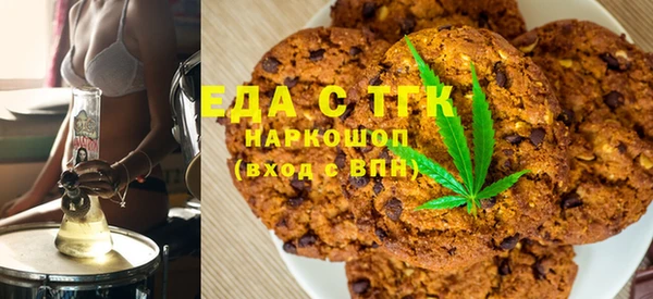 индика Козельск
