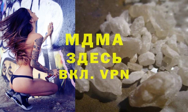 индика Козельск