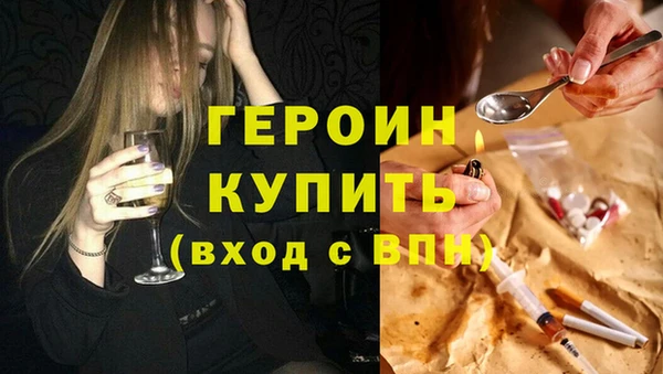 индика Козельск