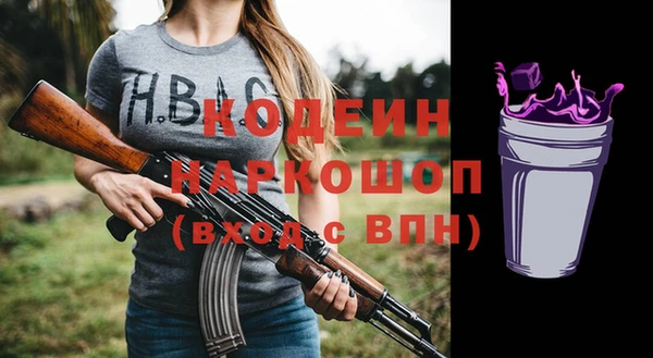 индика Козельск