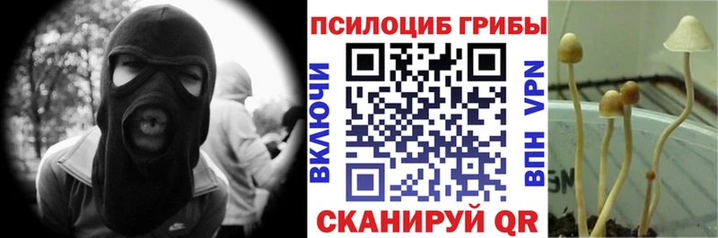 Псилоцибиновые грибы Cubensis  Нижневартовск 