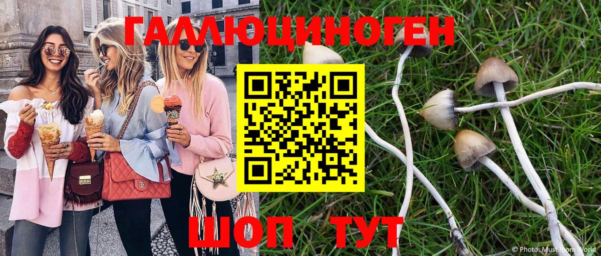 Псилоцибиновые грибы Psilocybine cubensis  Нижневартовск  Псилоцибиновые грибы Psilocybe 