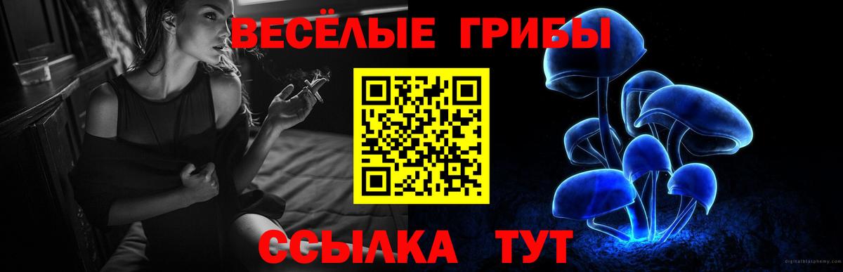 Нижневартовск  Псилоцибиновые грибы Psilocybe  Вход с VPN  Псилоцибиновые грибы прущие грибы 